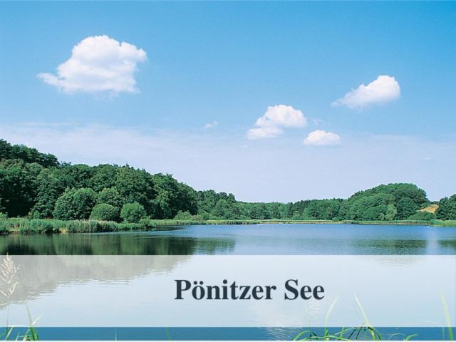 Waldstrandnest Mit Weitblick Timmendorfer Strand Kültér fotó